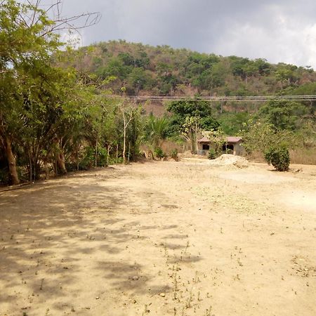 Wli Waterfalls Inn Wli Afegame Ngoại thất bức ảnh