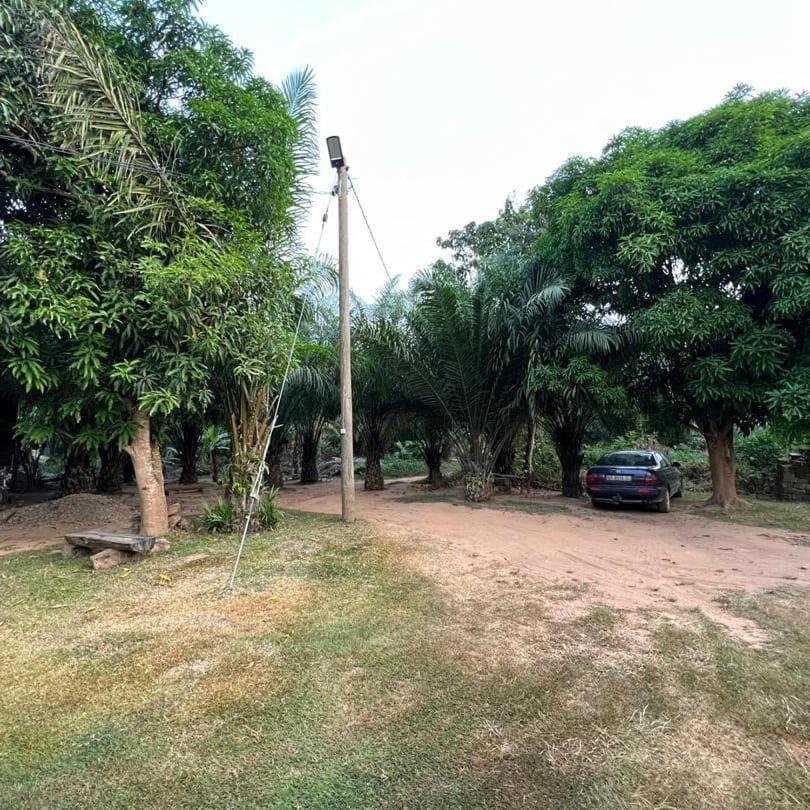 Wli Waterfalls Inn Wli Afegame Ngoại thất bức ảnh