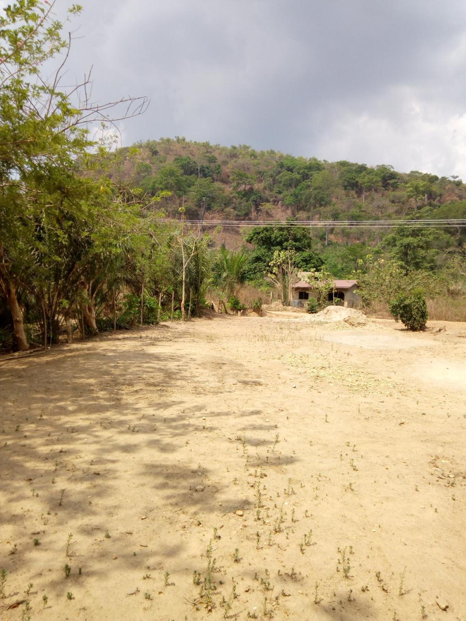 Wli Waterfalls Inn Wli Afegame Ngoại thất bức ảnh