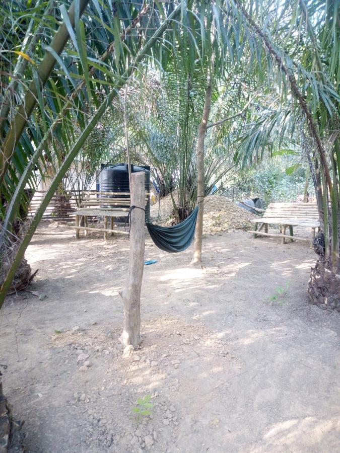 Wli Waterfalls Inn Wli Afegame Ngoại thất bức ảnh