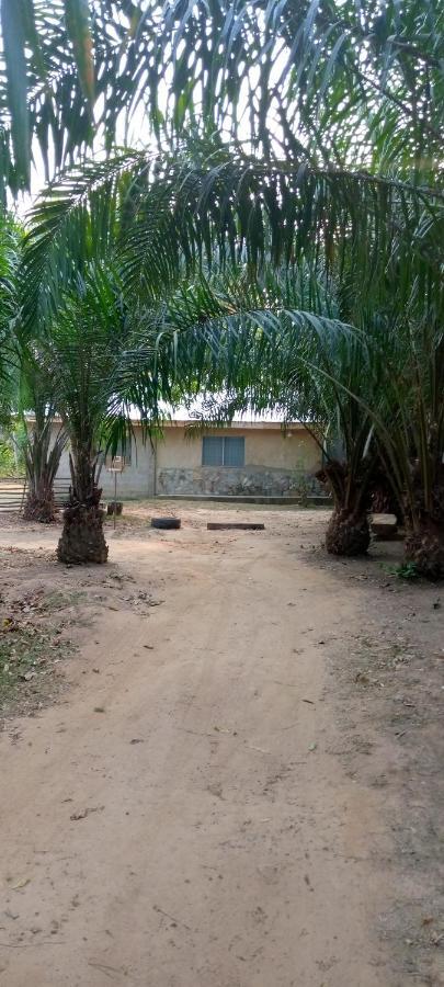 Wli Waterfalls Inn Wli Afegame Ngoại thất bức ảnh